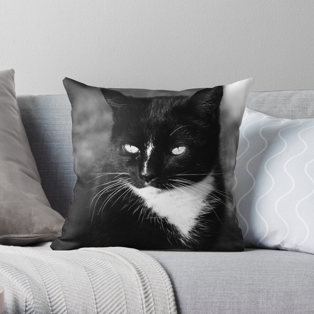 black and white cat pillow