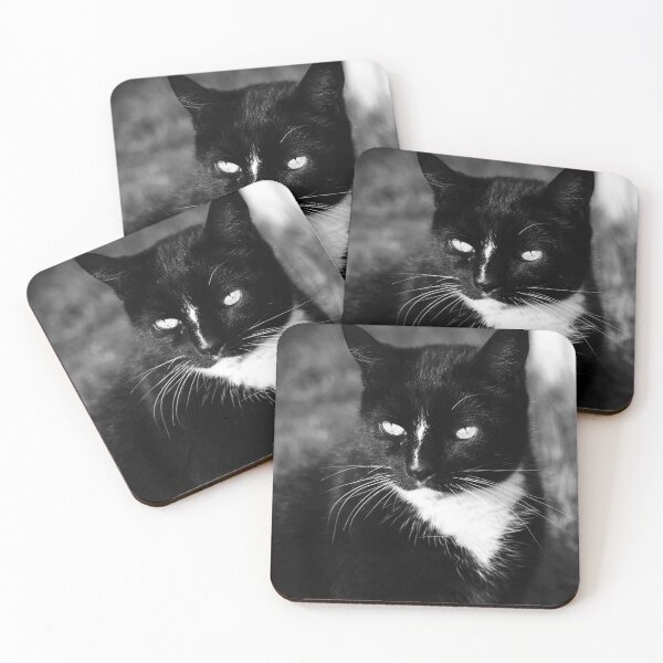 Item preview, Black & White Cat designed and sold by ShelleyTamara.