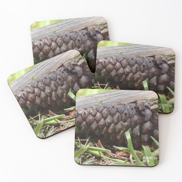 Item preview, Pine cone in grass with log designed and sold by MelodyHoward.