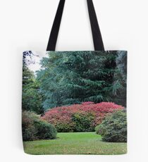 A Touch of Red Tote Bag