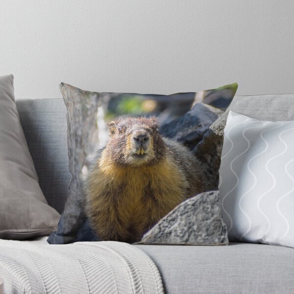 Item preview, Marmot designed and sold by Alla Gill.