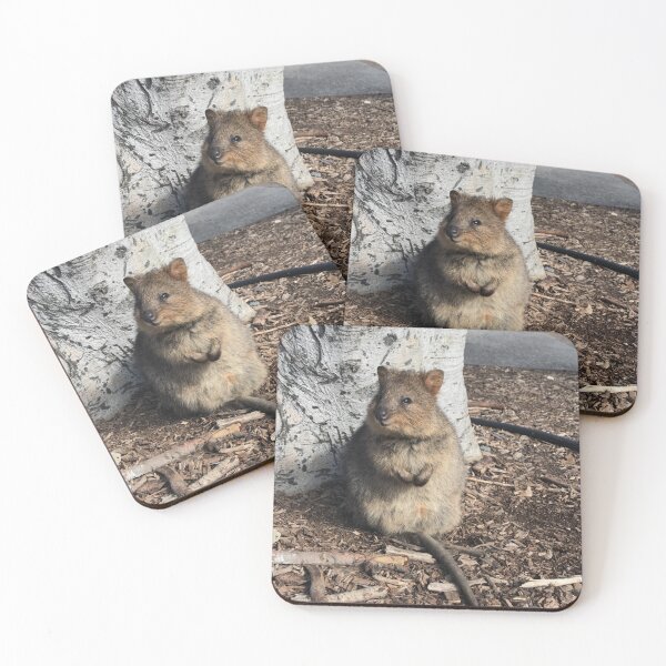 Item preview, Quokka designed and sold by Keeley Clinton.