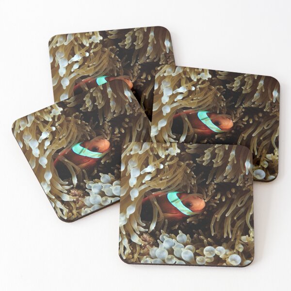 Item preview, Lovely anemone fish designed and sold by tank200bar.