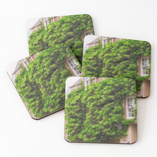 Item preview, Ivy Covered Wall, St-Andrews, UK designed and sold by Yannik Hay.