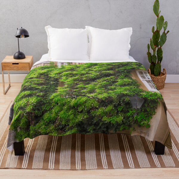 Item preview, Ivy Covered Wall, St-Andrews, UK designed and sold by Yannik Hay.