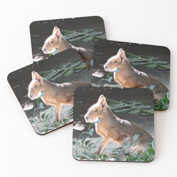 Aperçu de l'œuvre Patagonian Cavy par Orikall créée et vendue par HippieWorks.
