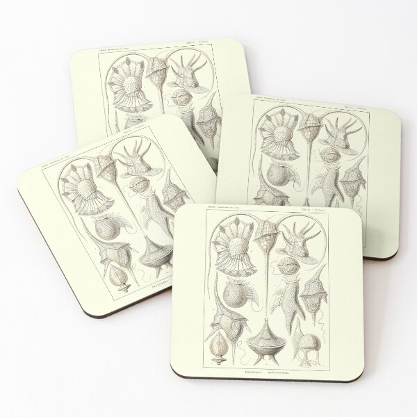 Item preview, Plate 14. Peridinae, a grouping of plankton. designed and sold by Squirrox.