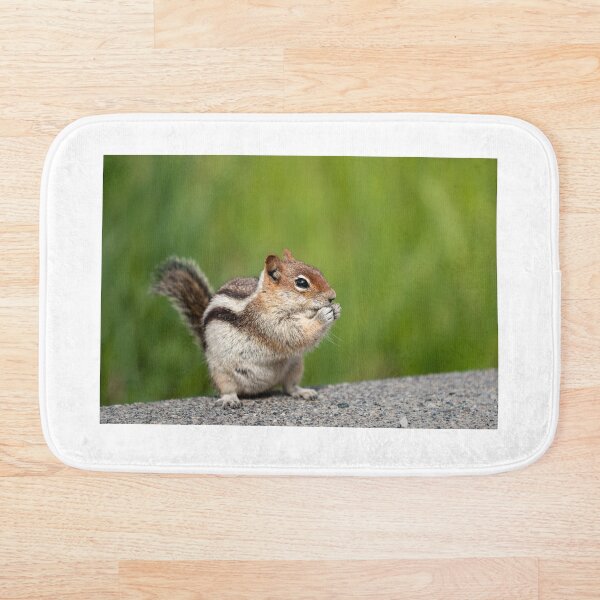 Golden-mantled Squirrel Bath Mat