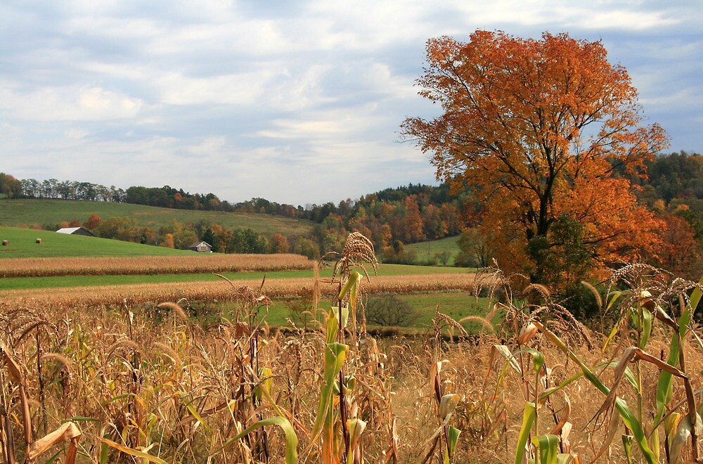 "Autumn Fields in Pennsylvania" by Geno Rugh Redbubble