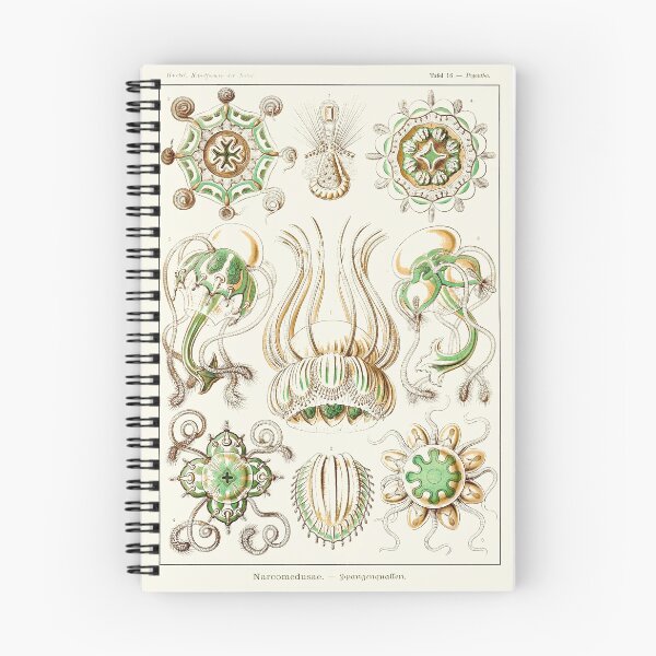 Item preview, Plate 16. Narcomedusae, an order of jellyfish. designed and sold by Squirrox.