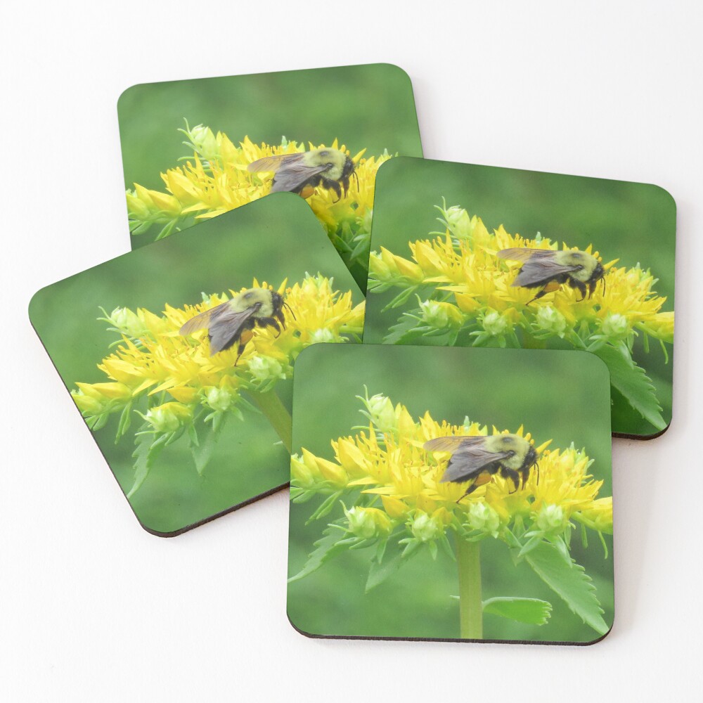 Item preview, Coasters (Set of 4) designed and sold by shutterbug2010.