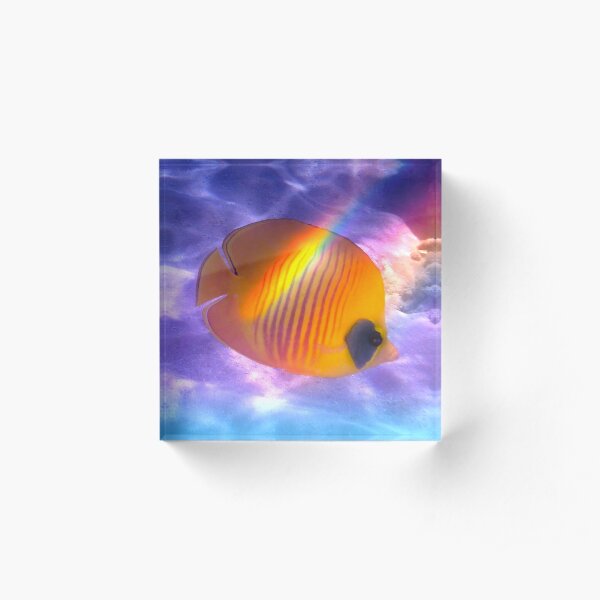 The Bluecheeked Butterflyfish Colorfully Acrylic Block