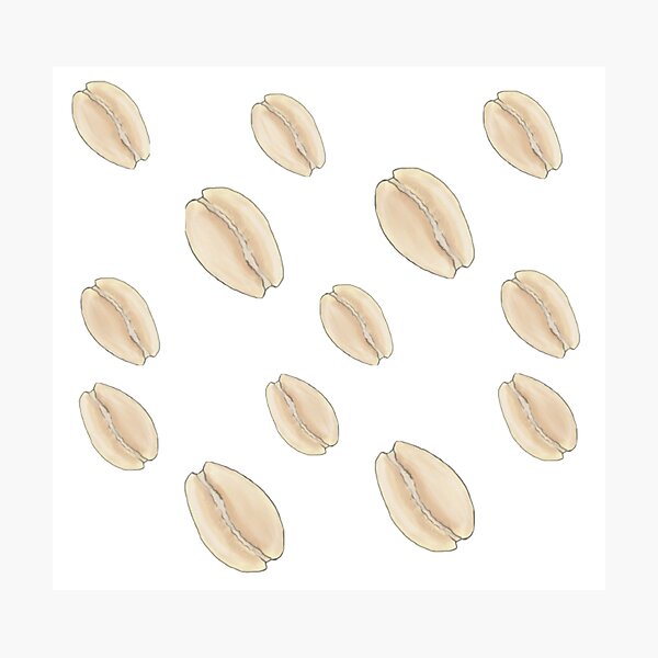 Item preview, Cowry Shells  designed and sold by Luzthealchemist.