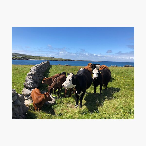 Inishmore - Kilmurvy Photographic Print