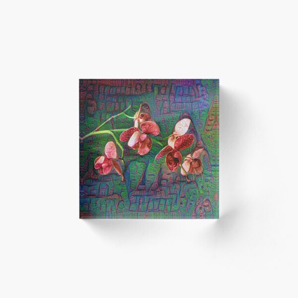 Phalaenopsis A #DeepDream Acrylic Block