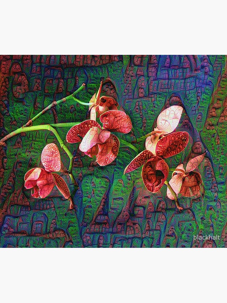 Phalaenopsis A #DeepDream by blackhalt