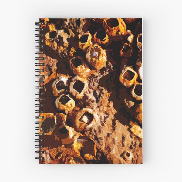 Item preview, Barnacles  designed and sold by LudlumDesign.