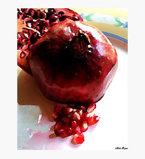 Katherine's Pomegranate Photographic Print