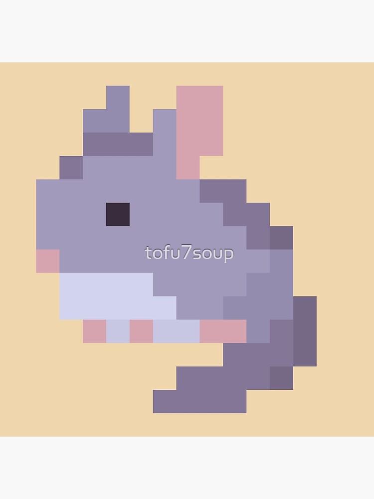 gif mignon de chinchilla