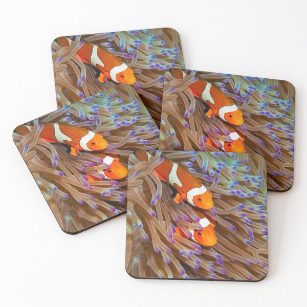 Item preview, Two Eastern Clownfish designed and sold by KarenWillshaw.