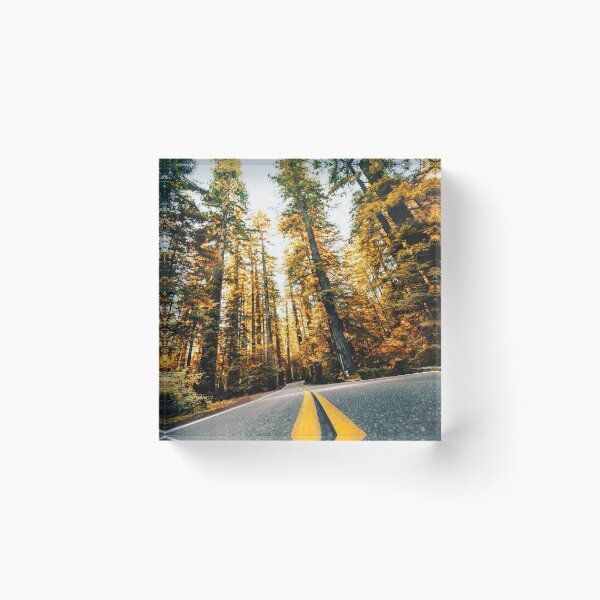 Item preview, driving in california redwood forest designed and sold by franckreporter.