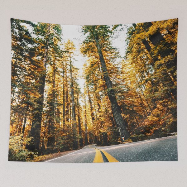 Item preview, driving in california redwood forest designed and sold by franckreporter.