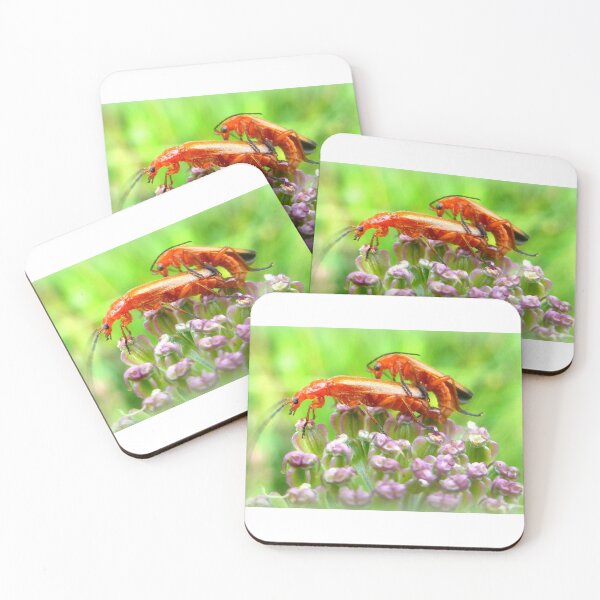 Item preview, Common red soldier beetle designed and sold by angel1.