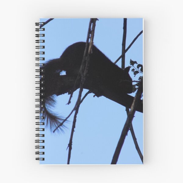 Item preview, squirrel silhouette designed and sold by bryancorbinart.