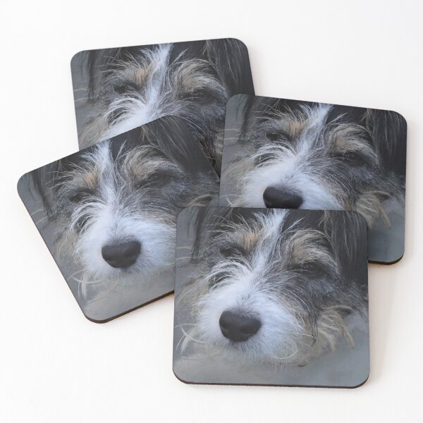 Item preview, Roxy. designed and sold by Roxyphotography.