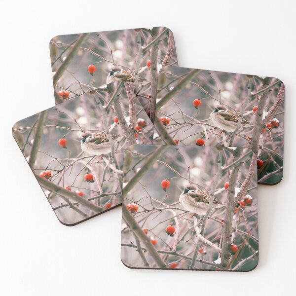 Item preview, birdwatching designed and sold by Julia  Kovtunyak.