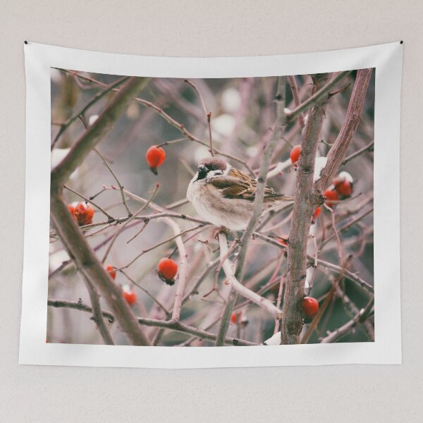 Item preview, birdwatching designed and sold by Julia  Kovtunyak.