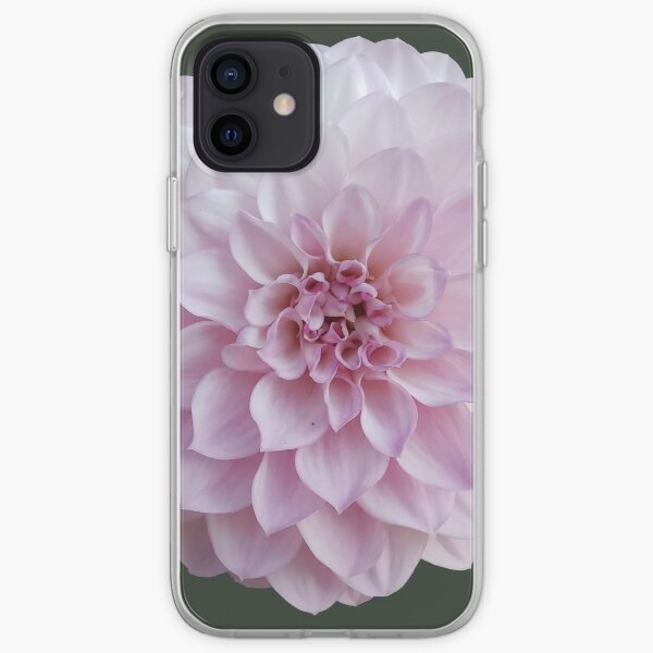 Dahlia rose Coque souple iPhone