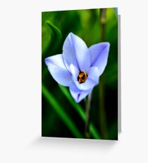 Twisted Blues Greeting Card