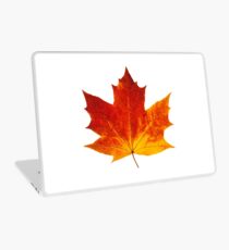 Autumn maple leaf Laptop Skin