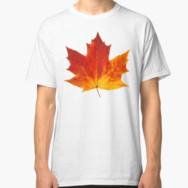 Autumn maple leaf Classic T-Shirt