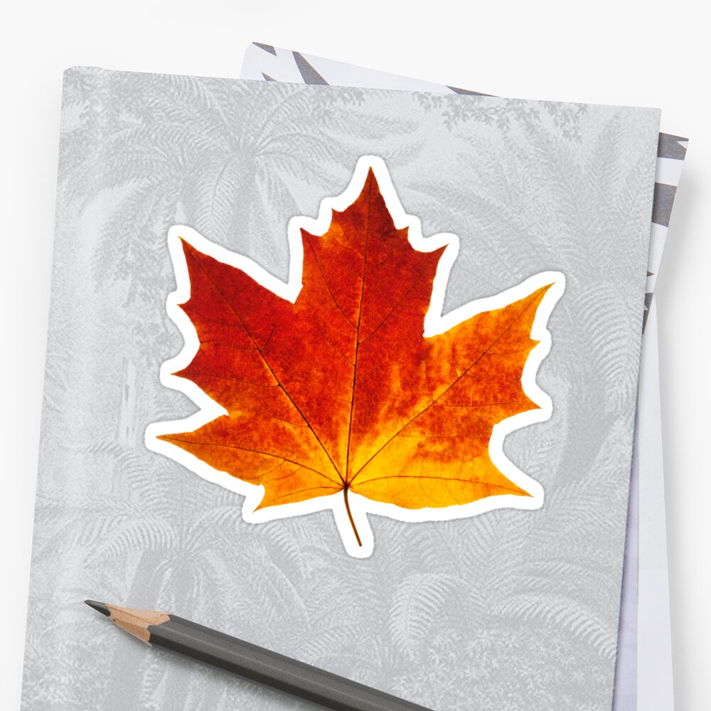 autumn maple leaf sticker by 6hands redbubble