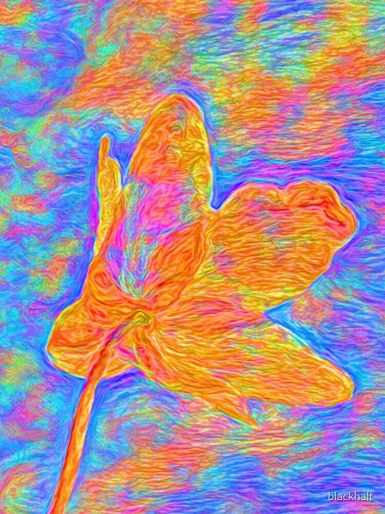 Flower by blackhalt