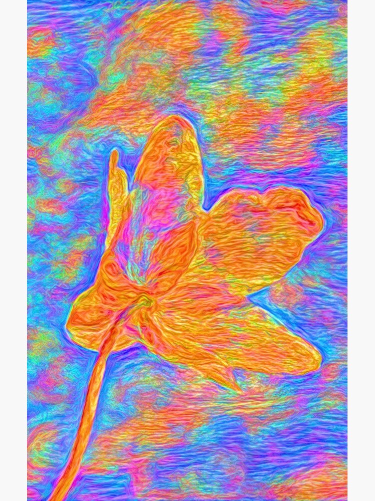 Flower by blackhalt