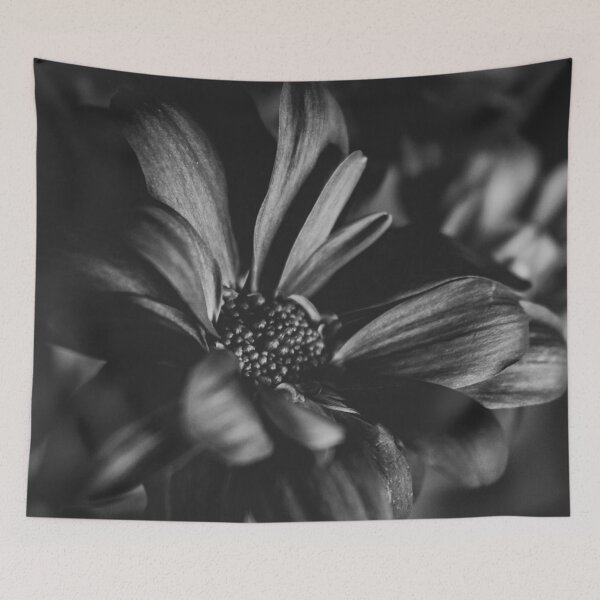 Item preview, Black and White Flower designed and sold by LauraKCaldPhoto.