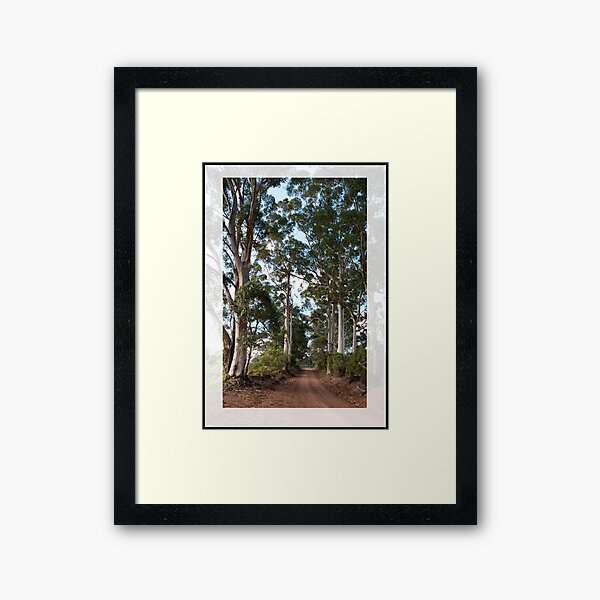 Item preview, Karri Lane - Denmark - West Australia designed and sold by Andy and Von Quinn.