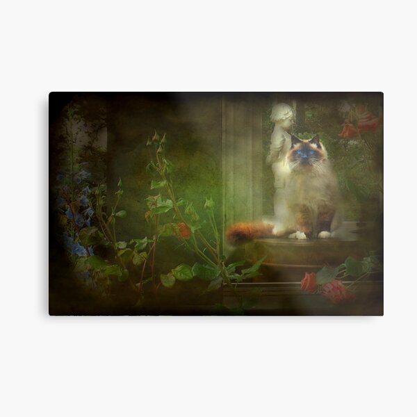 "Hey Mum ! I'm on your Table !" Metal Print