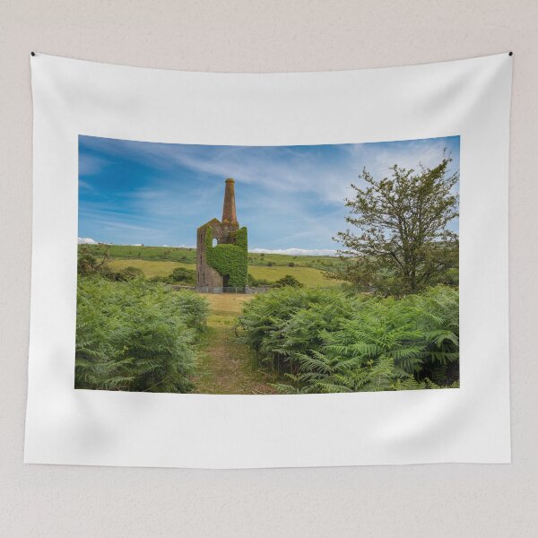 Item preview, Old mine building , caradon hill  cornwall  designed and sold by eddiej.