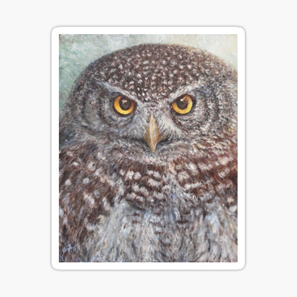 Eurasian Pygmy Owl Sticker