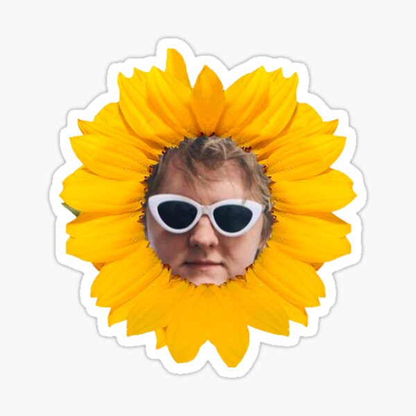  Lewis Capaldi Bundle Vinyl Sticker Waterproof Bumper