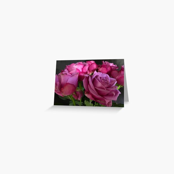 Pink Chiffon Greeting Card