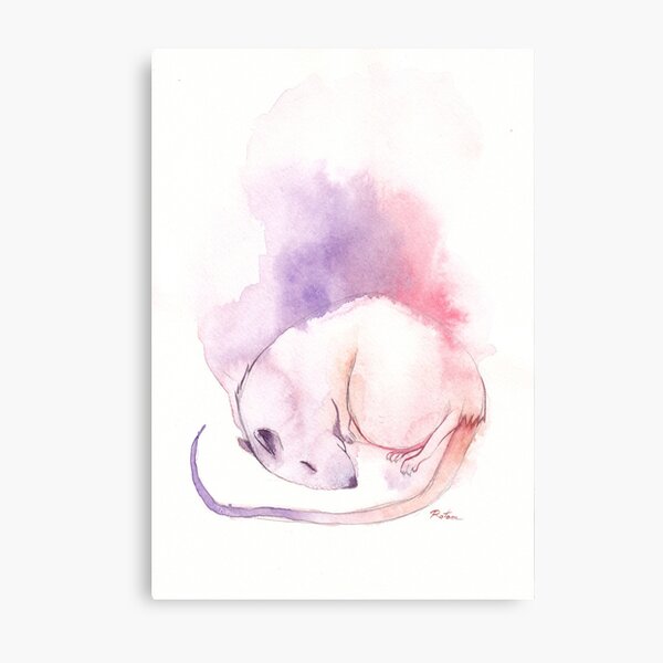 Rat Dream Metal Print