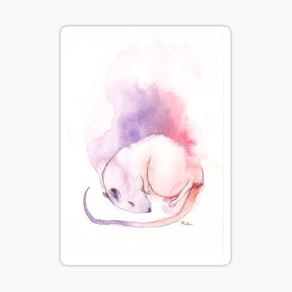 Rat Dream Sticker