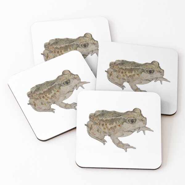 Item preview, Transparent Spadefoot Toad designed and sold by Eco-Artopia.