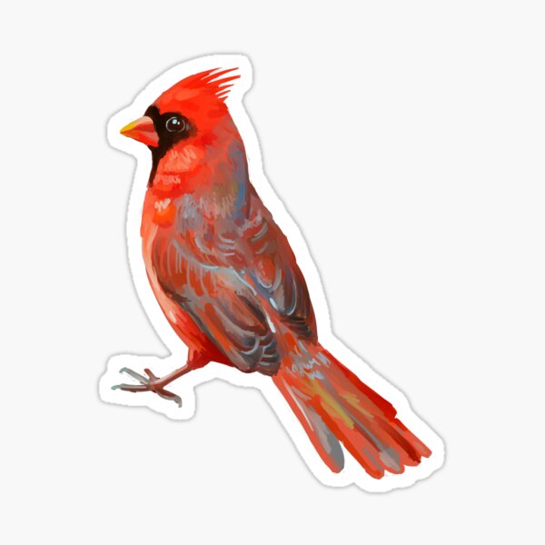 Cardinal Sticker