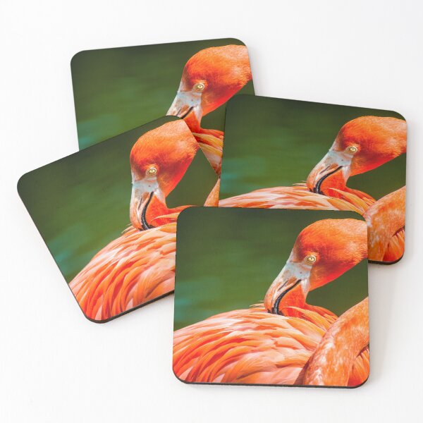 Item preview, Flamingo grooming itself designed and sold by Martin Langer.